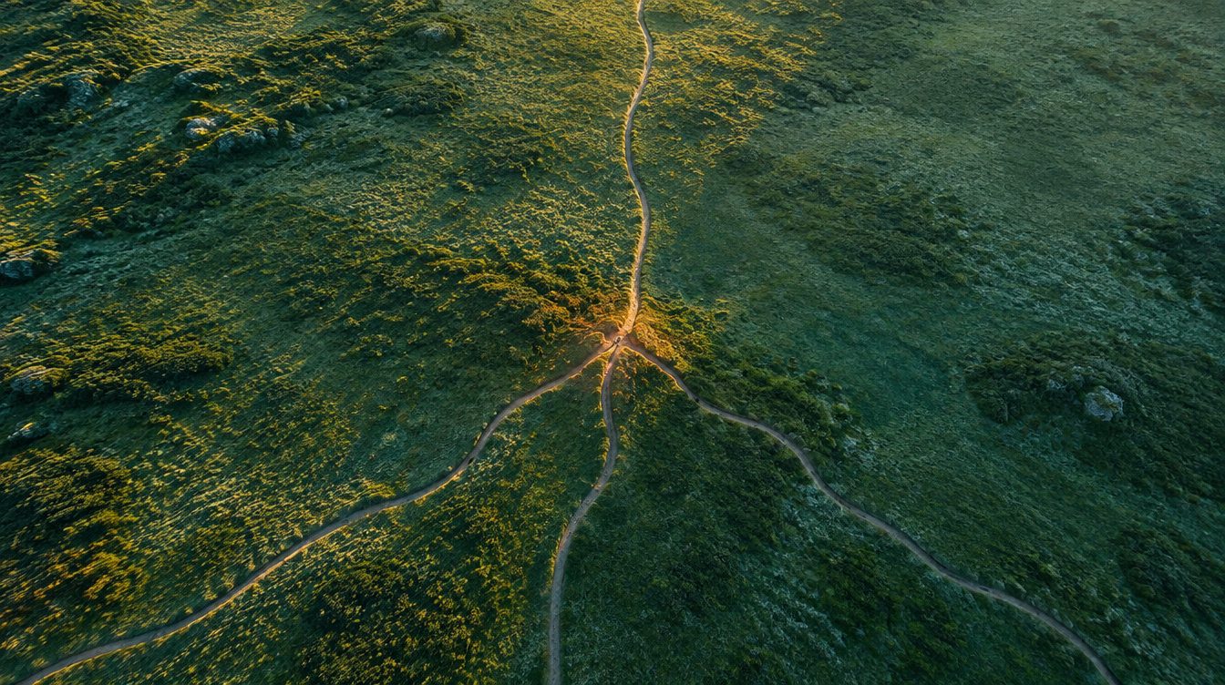 Aerial view of separate trails across green moorland converging into one path, lit by low morning sun